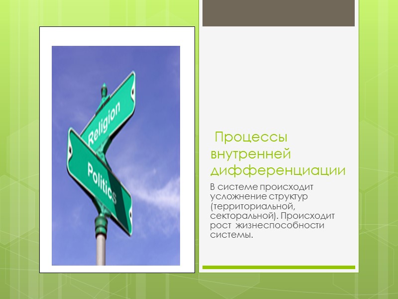 Процессы внутренней дифференциации В системе происходит усложнение структур (территориальной, секторальной). Происходит рост  жизнеспособности
